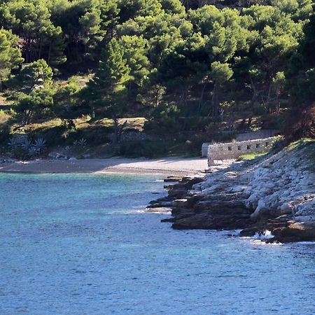 Apartments Zoki - Great Location Close To The Sea Vis Eksteriør bilde